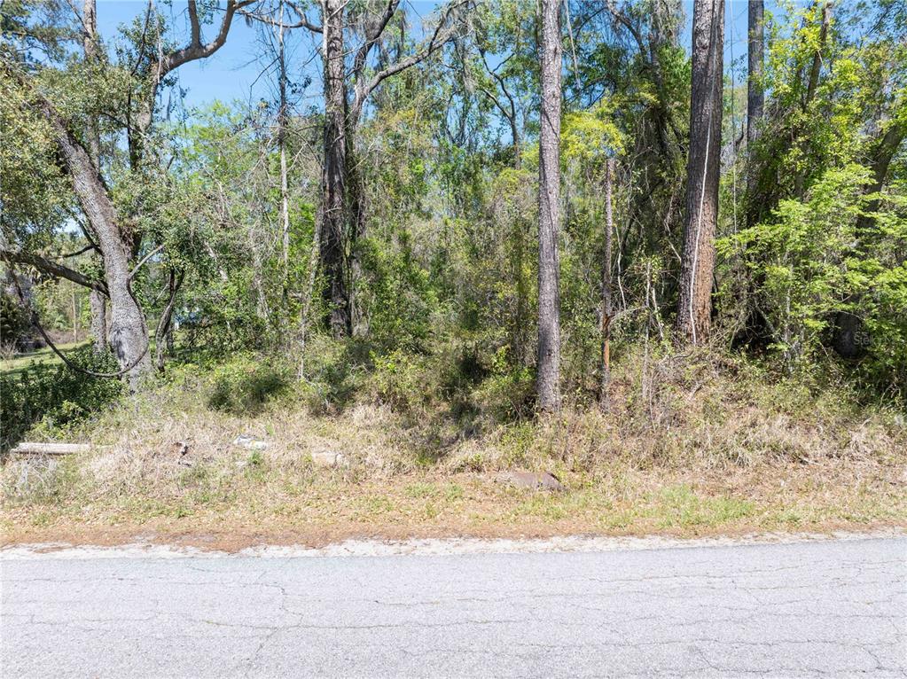 9311 86th Street Live Oak, FL 32060 - Photo 3 of 12 a view of a yard with large trees