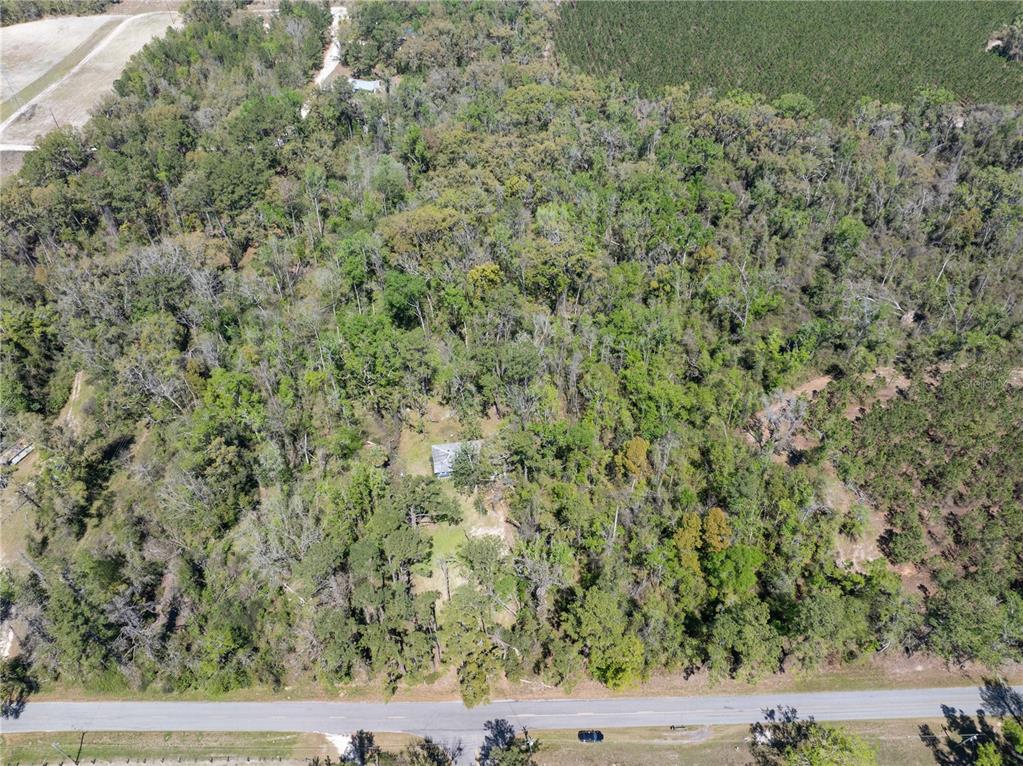 9311 86th Street Live Oak, FL 32060 - Photo 4 of 12 a view of a field of grass and trees