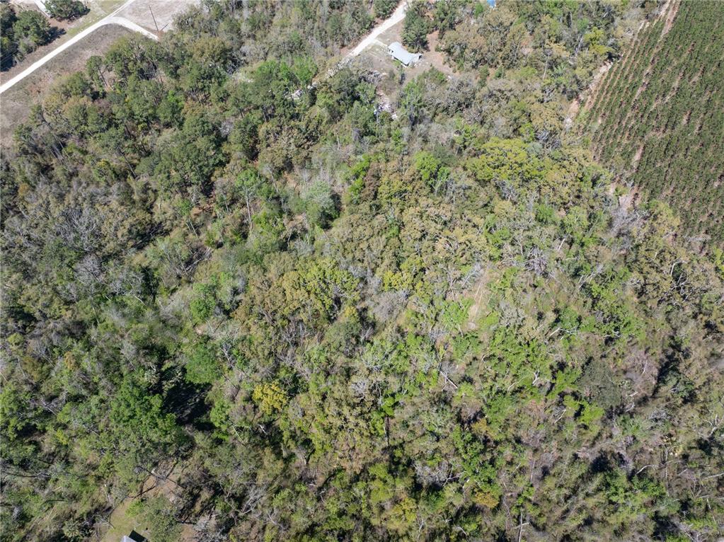 9311 86th Street Live Oak, FL 32060 - Photo 7 of 12 a view of a field