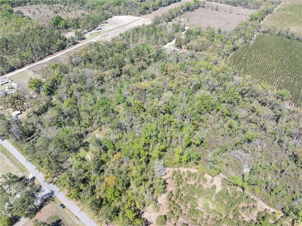 a view of a forest with a yard