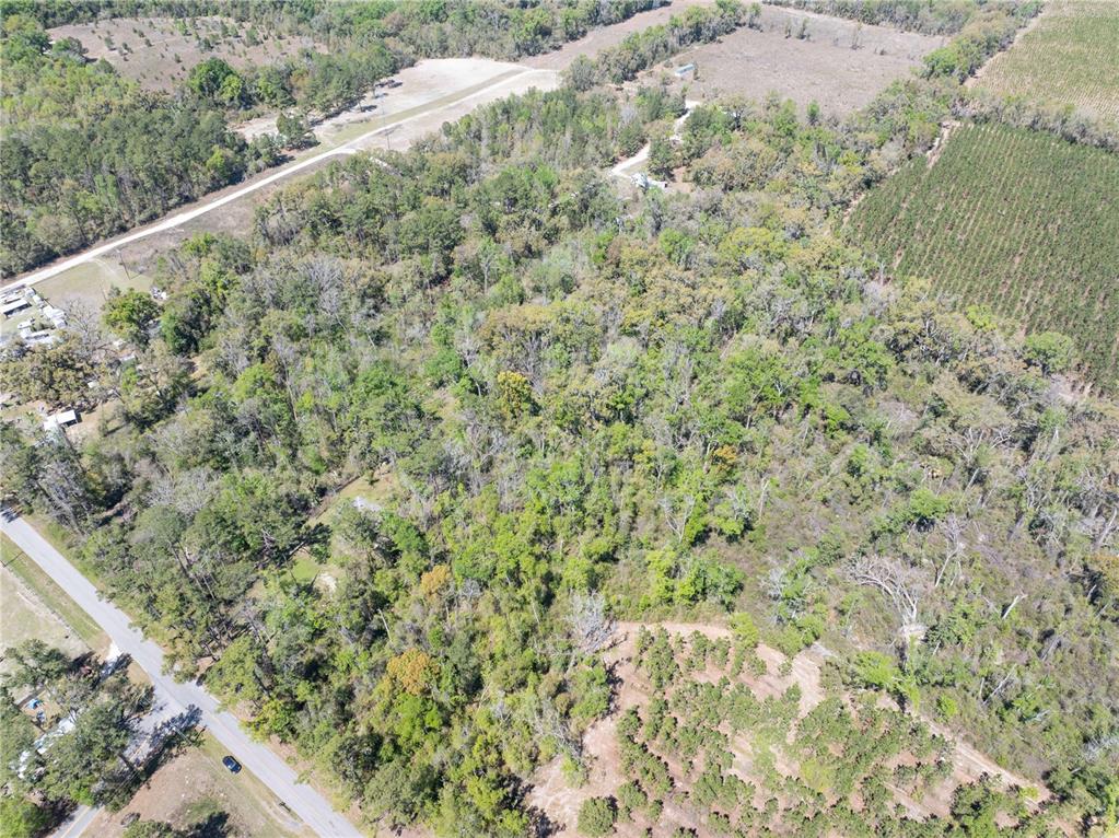 9311 86th Street Live Oak, FL 32060 - Photo 8 of 12 a view of a field with a tree