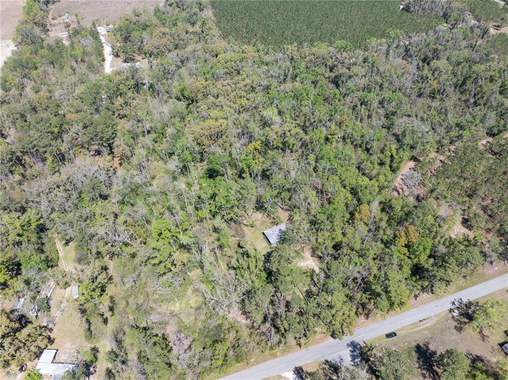 9311 86th Street Live Oak, FL 32060 - Photo 9 of 12 a view of a forest with a yard