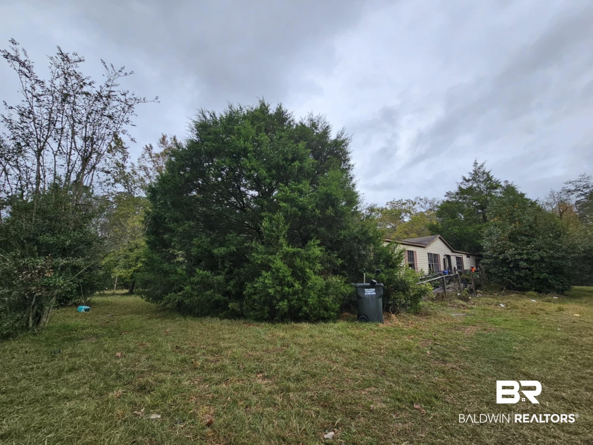 24579 Patterson Road Robertsdale, AL 36567 - Photo 3 of 4 View of yard