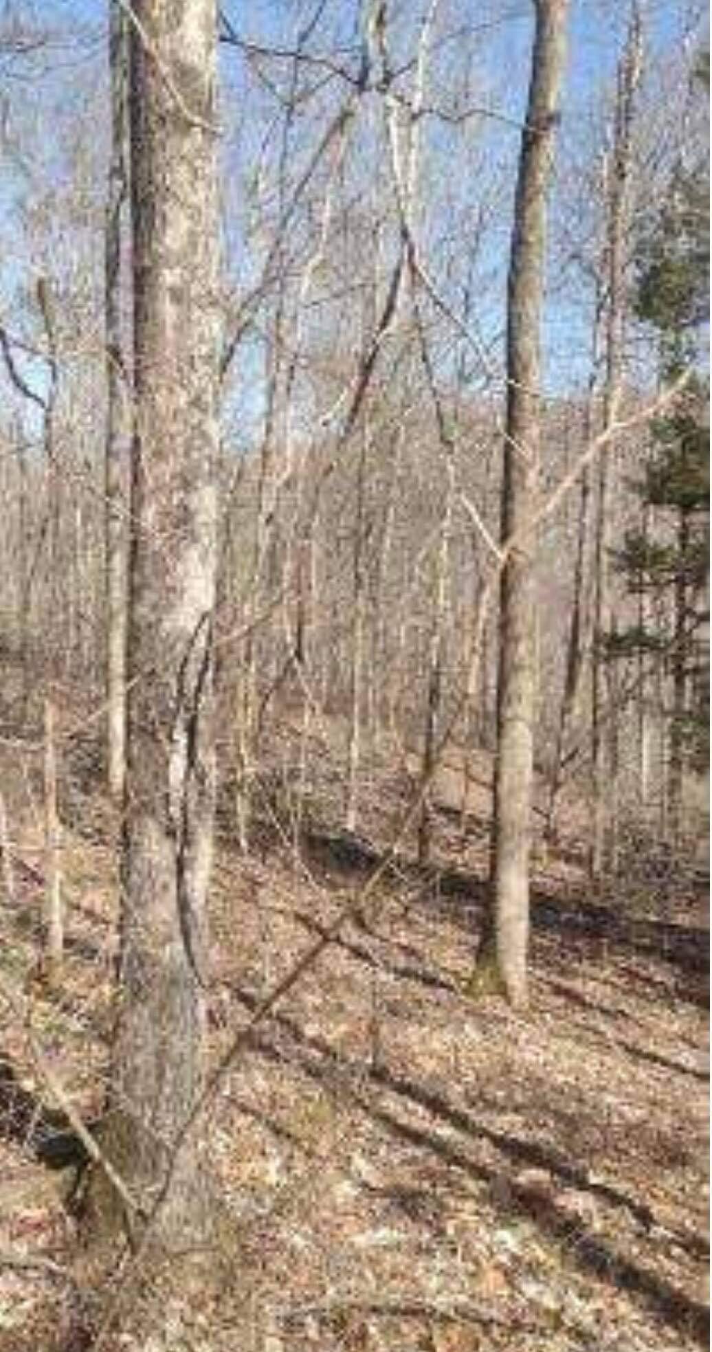 3 Pine Grove Road Beattyville, KY 41311 - Photo 10 of 17 2B543B3E-28A3-4395-A5E2-A235E009145A