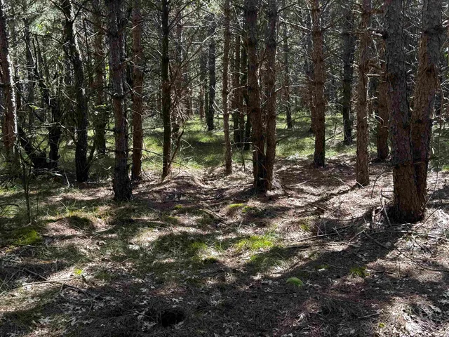 $400,000 | 80-ac 13th Court, Nekoosa, WI 54457