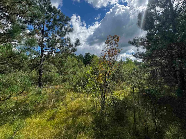 $400,000 | 80-ac 13th Court, Nekoosa, WI 54457