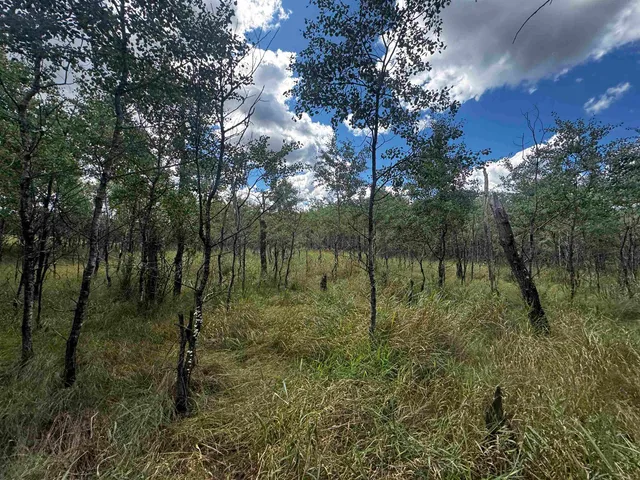 $400,000 | 80-ac 13th Court, Nekoosa, WI 54457