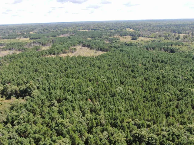 $400,000 | 80-ac 13th Court, Nekoosa, WI 54457