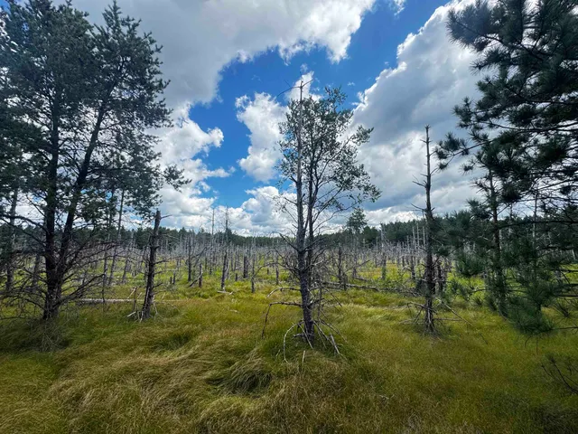 $400,000 | 80-ac 13th Court, Nekoosa, WI 54457