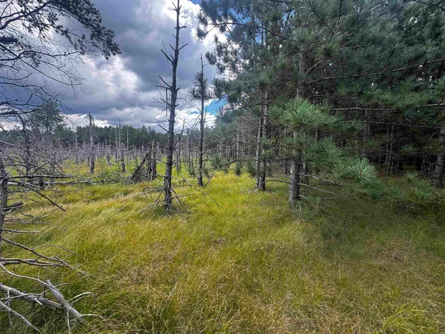 $400,000 | 80-ac 13th Court, Nekoosa, WI 54457