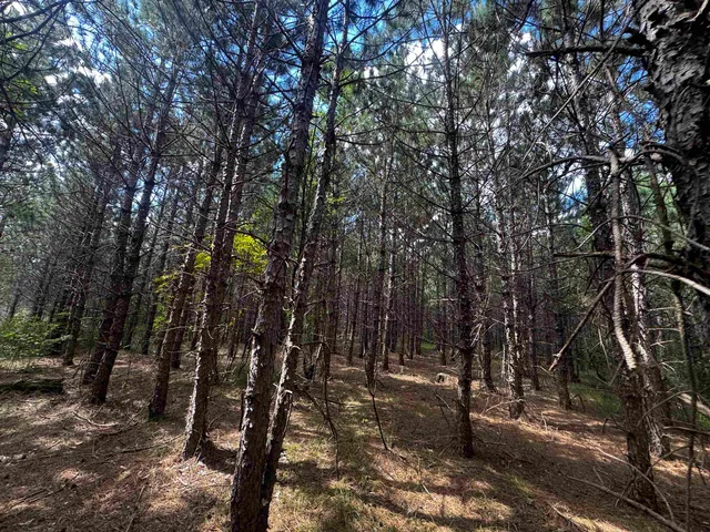 $400,000 | 80-ac 13th Court, Nekoosa, WI 54457