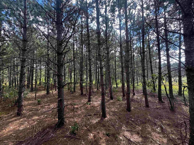 $400,000 | 80-ac 13th Court, Nekoosa, WI 54457