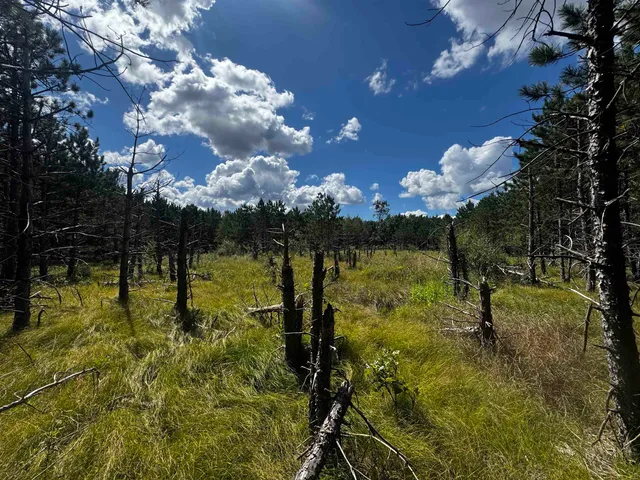 $400,000 | 80-ac 13th Court, Nekoosa, WI 54457