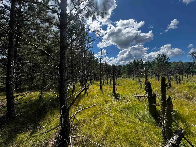 $400,000 | 80-ac 13th Court, Nekoosa, WI 54457