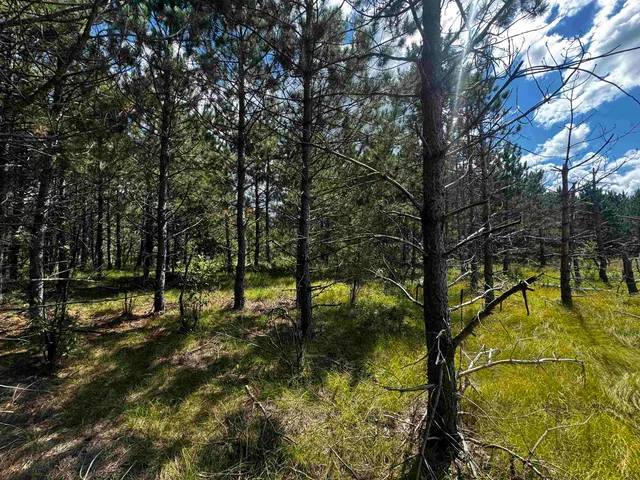 $400,000 | 80-ac 13th Court, Nekoosa, WI 54457