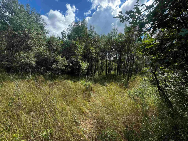 $400,000 | 80-ac 13th Court, Nekoosa, WI 54457