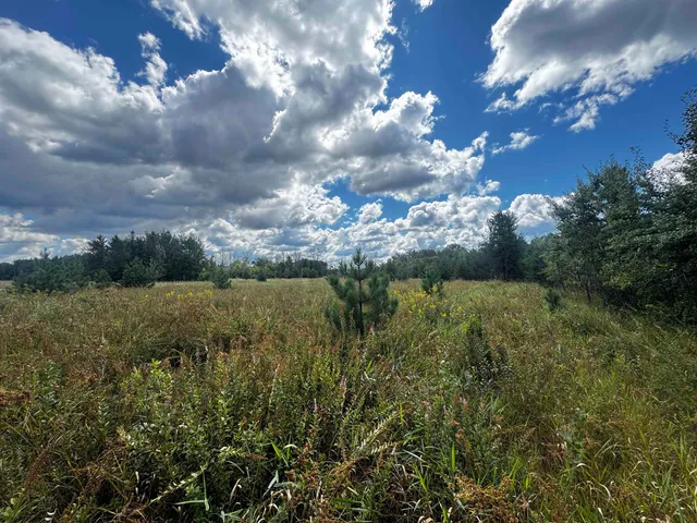$400,000 | 80-ac 13th Court, Nekoosa, WI 54457