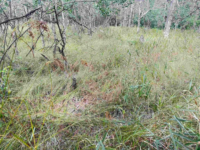 $400,000 | 80-ac 13th Court, Nekoosa, WI 54457