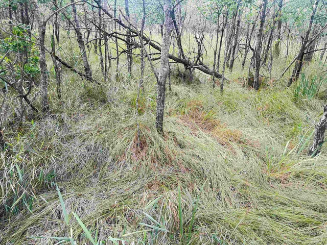 $400,000 | 80-ac 13th Court, Nekoosa, WI 54457