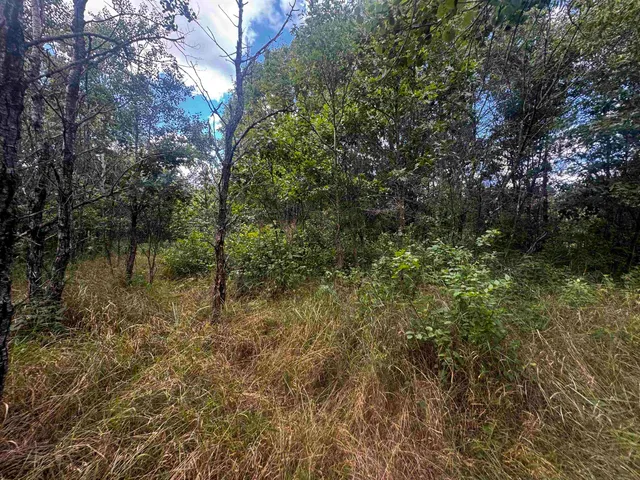 $400,000 | 80-ac 13th Court, Nekoosa, WI 54457