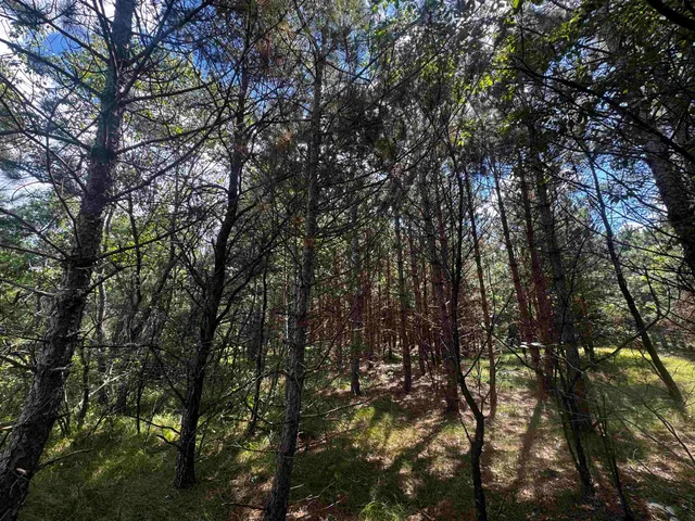 $400,000 | 80-ac 13th Court, Nekoosa, WI 54457