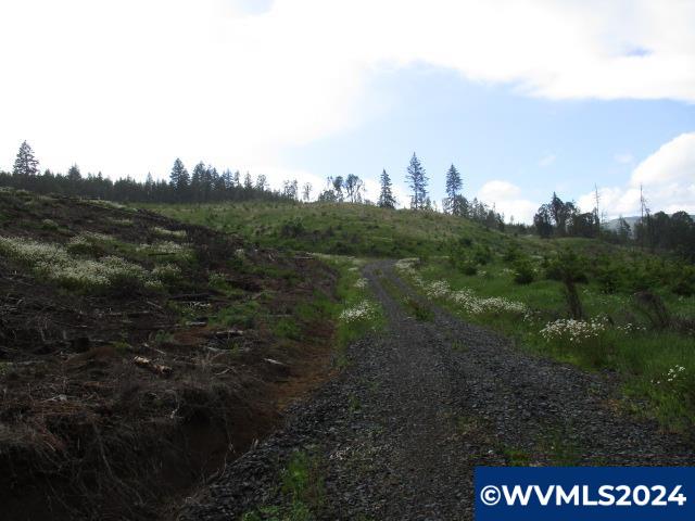 0 Northwest Fairdale Road Yamhill, OR 97148 - Photo 19 of 27