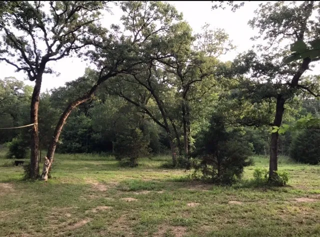 a view of a wooden fence with a bench and some trees