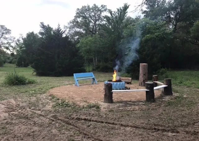 a view of a park with large trees