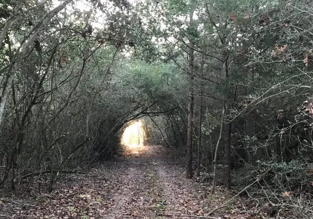 a view of a backyard of the house