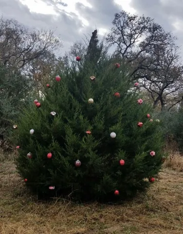 $525,000 | 1803 Doe Run Drive, Waelder, TX 78959