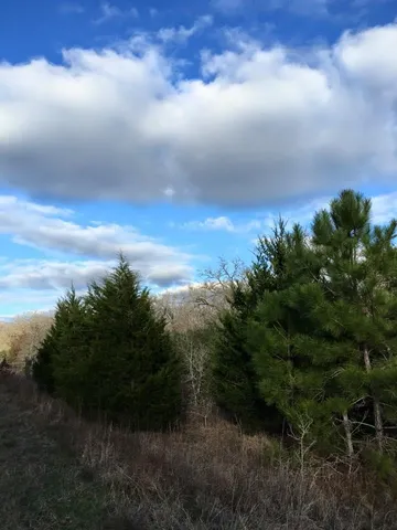 $525,000 | 1803 Doe Run Drive, Waelder, TX 78959