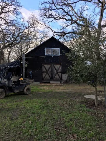 a view of a forest with small trees