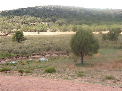 0 Ten 10 Tanks Road Ash Fork, AZ 86320 - Photo 4 of 22 Additional Photo