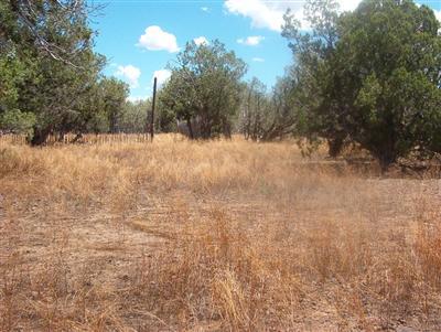 0 Ten 10 Tanks Road Ash Fork, AZ 86320 - Photo 5 of 22 Additional Photo