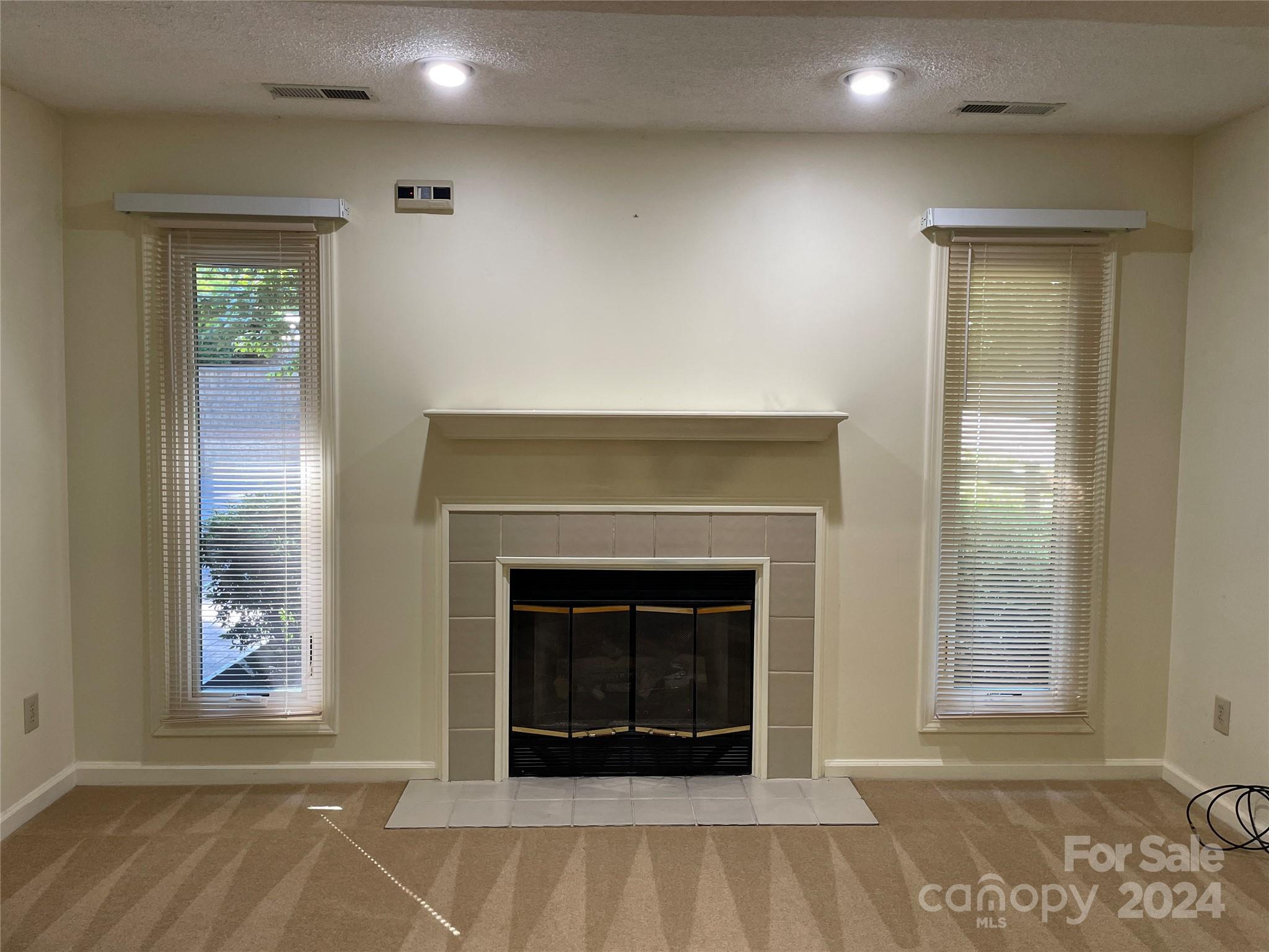 101 Independence Trail Morganton, NC 28655 - Photo 12 of 45 an empty room with windows and fireplace
