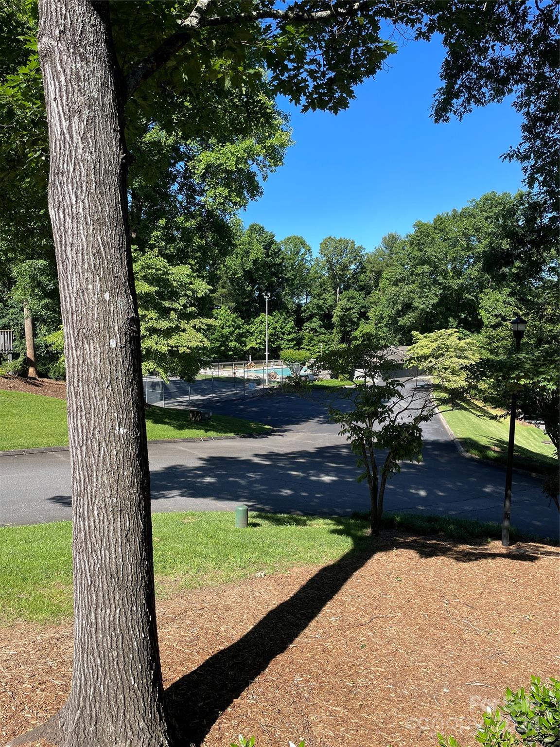 101 Independence Trail Morganton, NC 28655 - Photo 25 of 45 a view of a yard with wooden fence