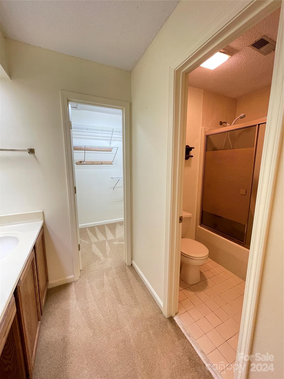 101 Independence Trail Morganton, NC 28655 - Photo 39 of 45 a bathroom with a sink and toilet