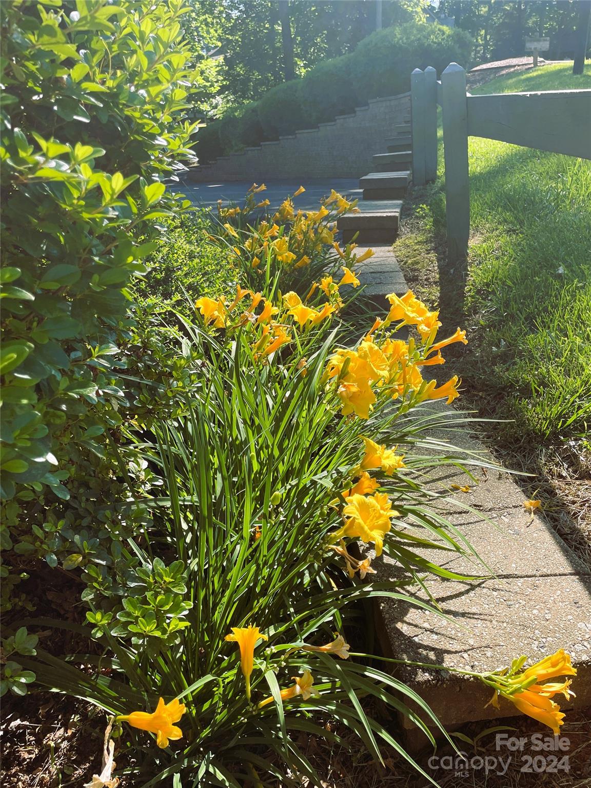 101 Independence Trail Morganton, NC 28655 - Photo 8 of 45 a view of a lake