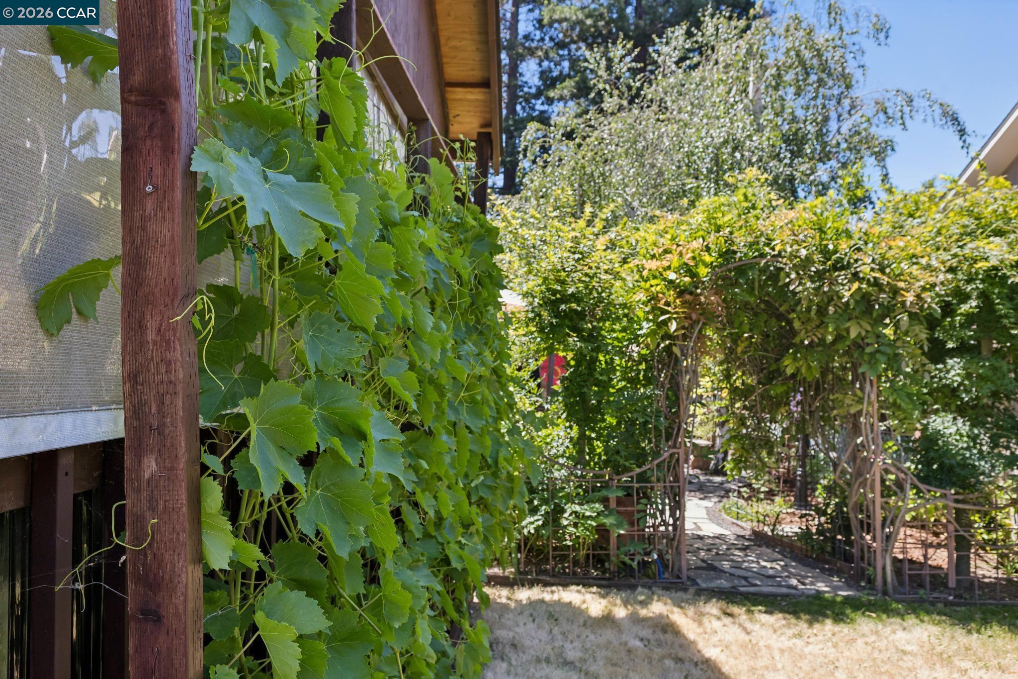 2177 Pleasant Hill Road Pleasant Hill, CA 94523 - Photo 75 of 78