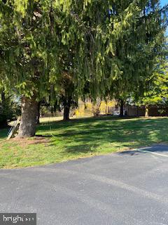 2703 Rocks Road Forest Hill, MD 21050 - Photo 11 of 27 Mature trees and landscaping!