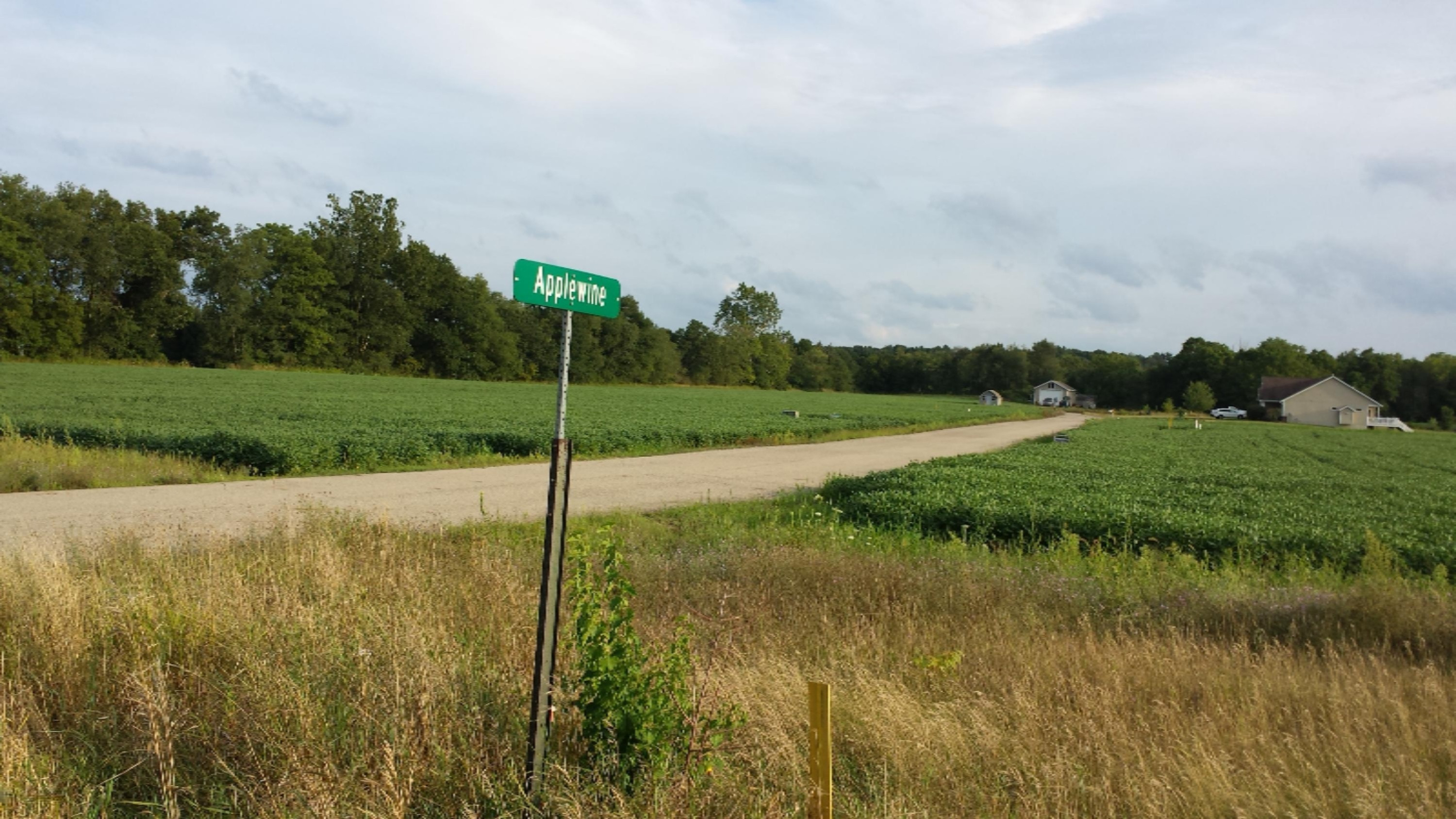 Lot #7 Applewine Road Middleville, MI 49333 - Photo 4 of 13 20150819_191110