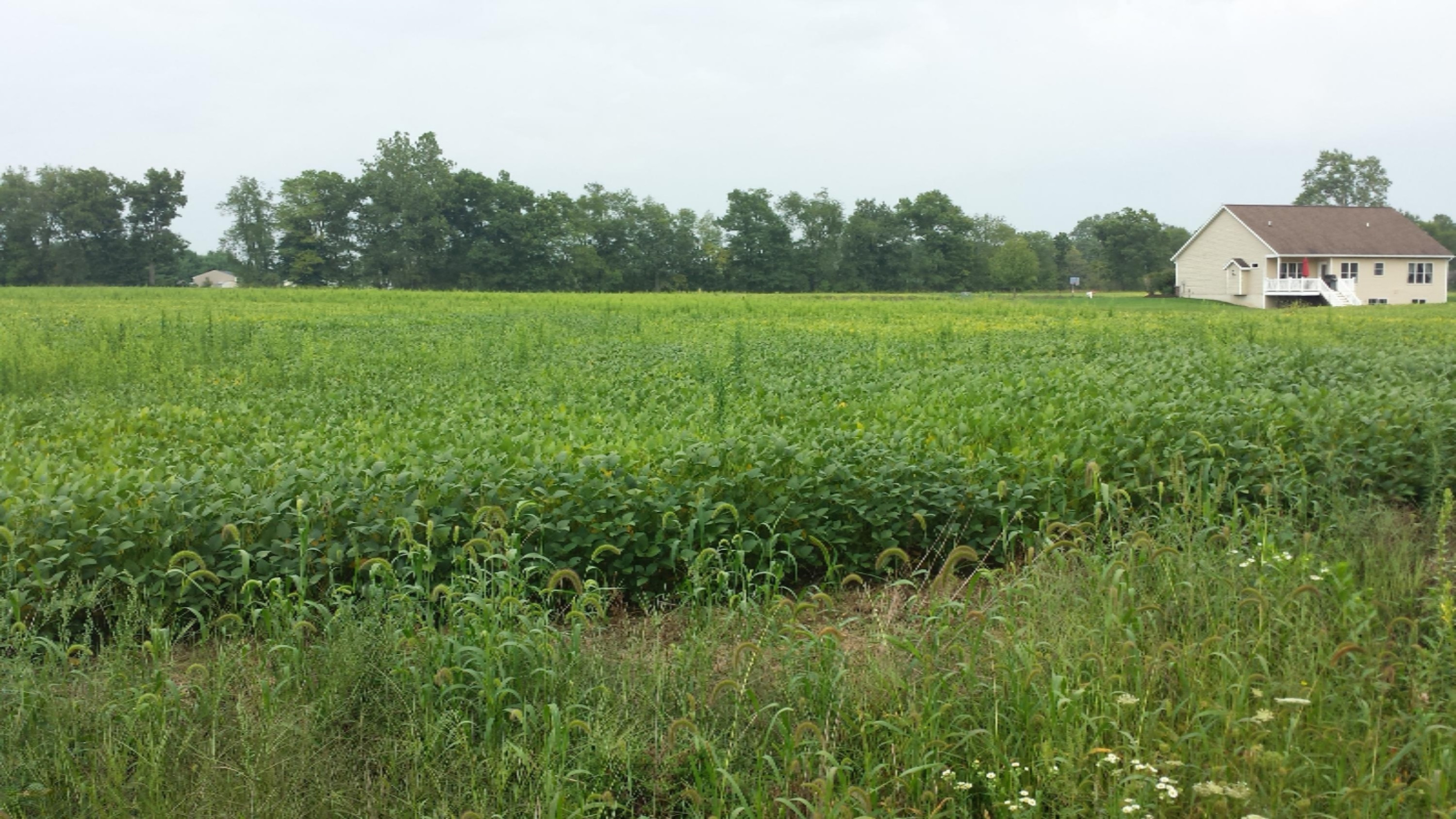 Lot #7 Applewine Road Middleville, MI 49333 - Photo 8 of 13 2015.09.18 087