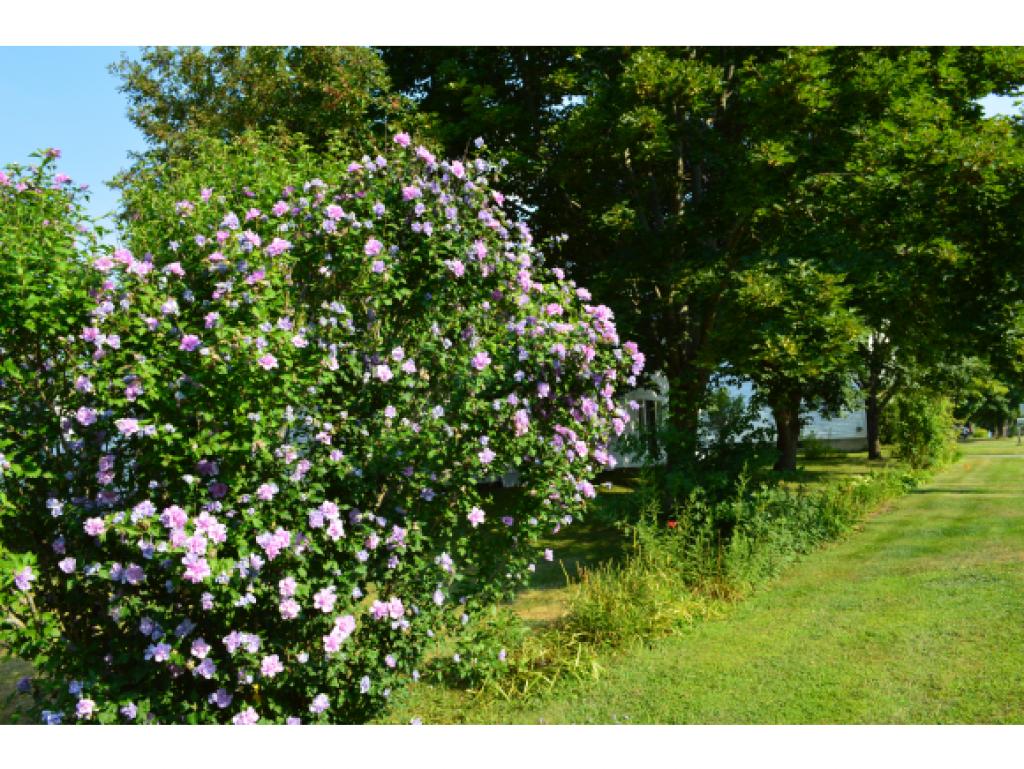 477 Highway 63 Chesterfield, NH 03443 - Photo 32 of 33