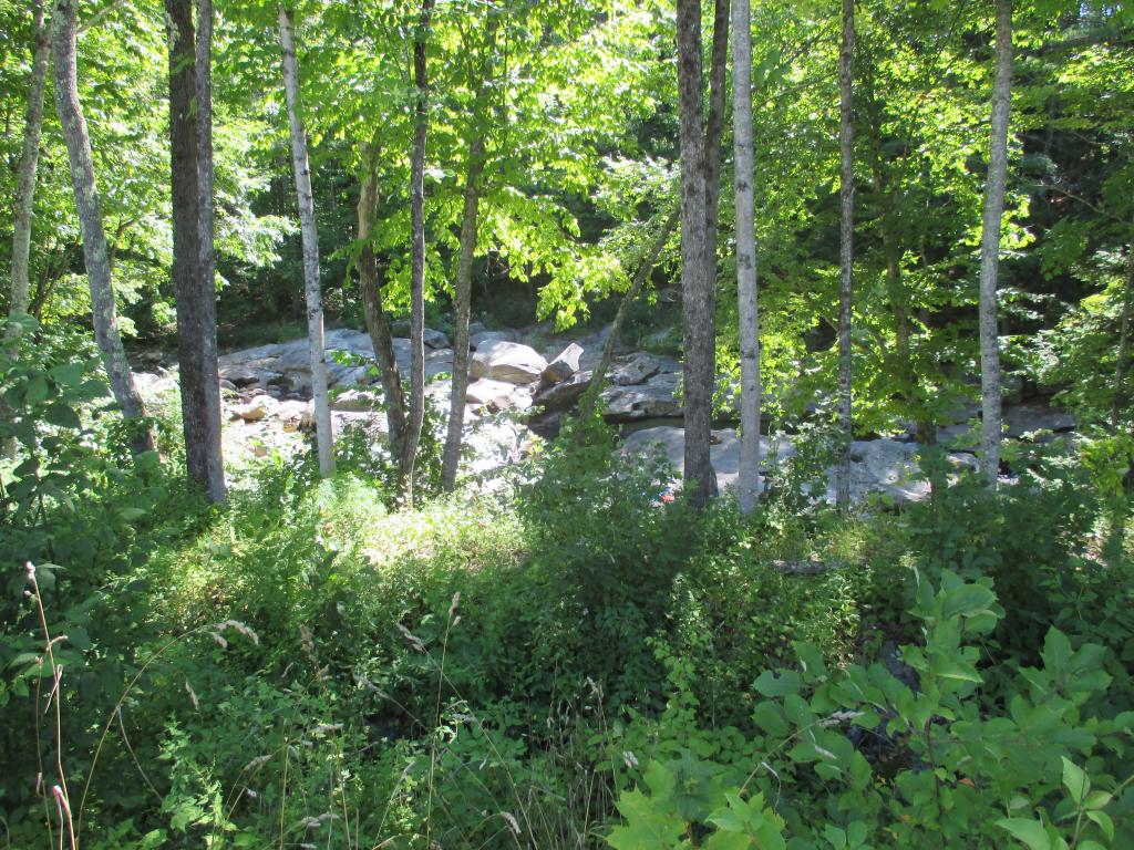 57 Mill Road Rumney, NH 03266 - Photo 15 of 15