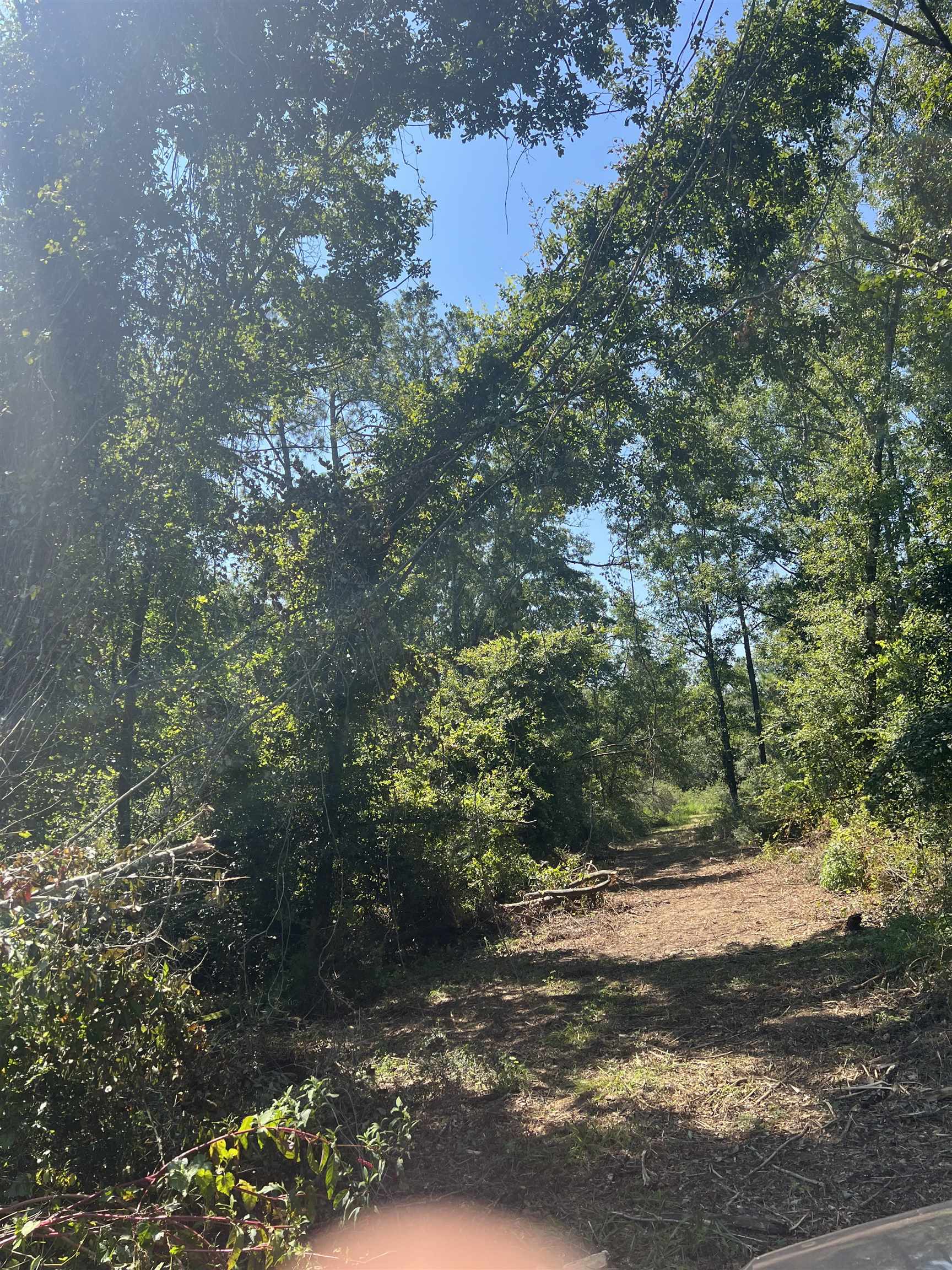 0 Cactus Court Elberta, AL 36530 - Photo 15 of 24