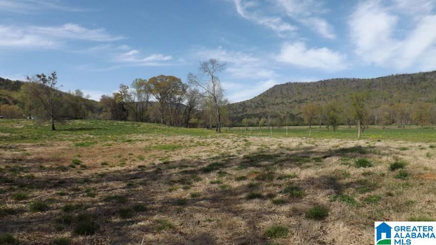 0 Gallant Road, Unit 40 Steele, AL 35987 - Photo 11 of 34 Gallery Image 11