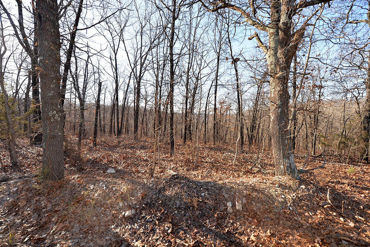 Tbd Seiler Road Ridgedale, MO 65739 - Photo 1 of 1 DSC_4807 (Copy)
