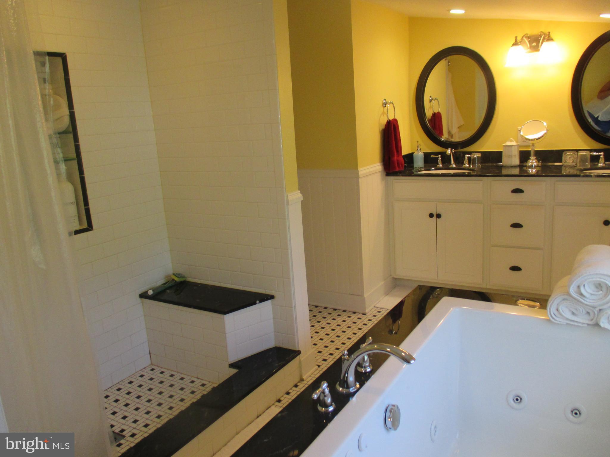 748 Green Spring Road Winchester, VA 22603 - Photo 22 of 28 separate stand up shower jacuzzi tub