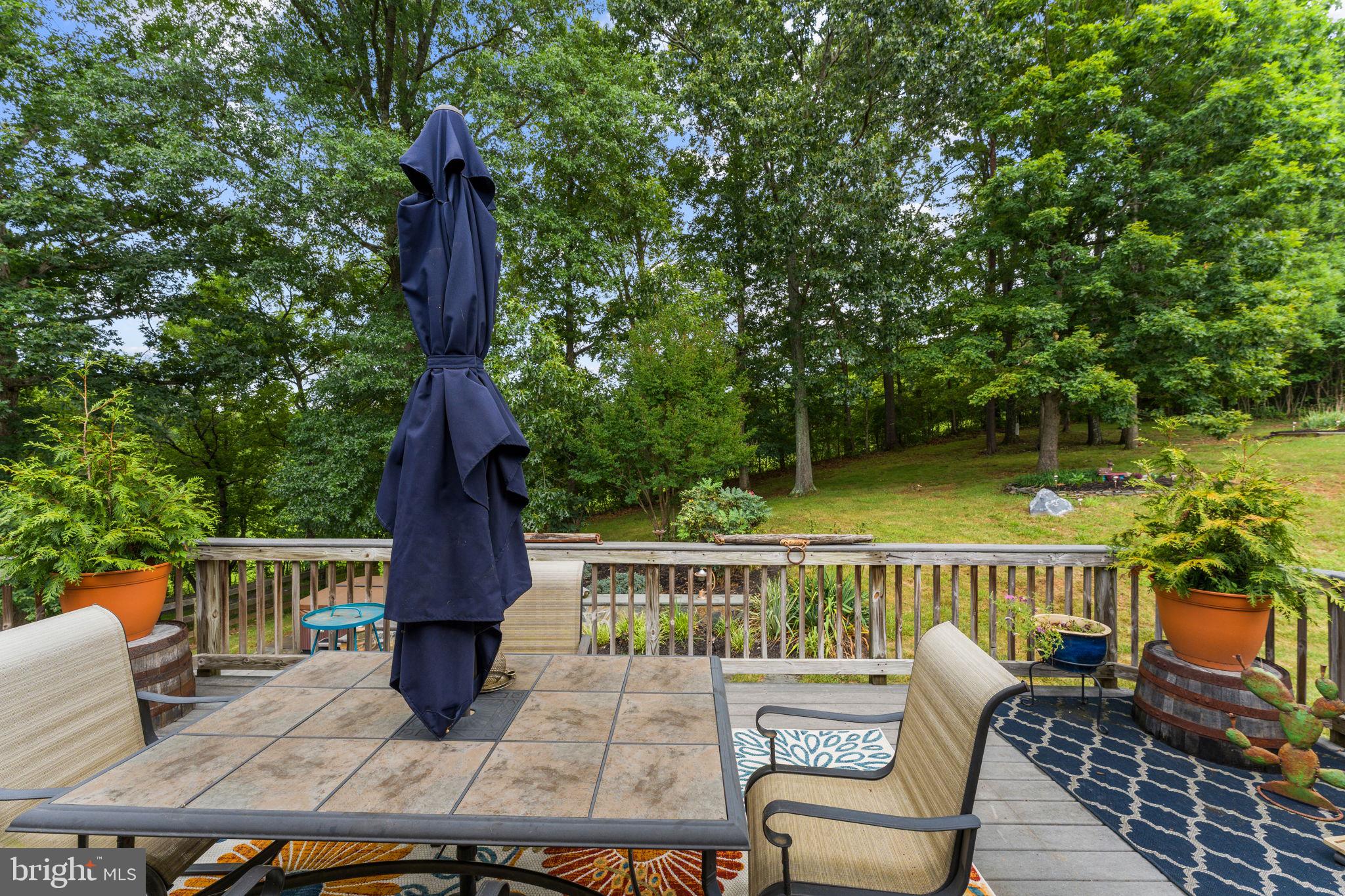 6301 Georgetown Road Broad Run, VA 20137 - Photo 79 of 101 Gallery Image 79