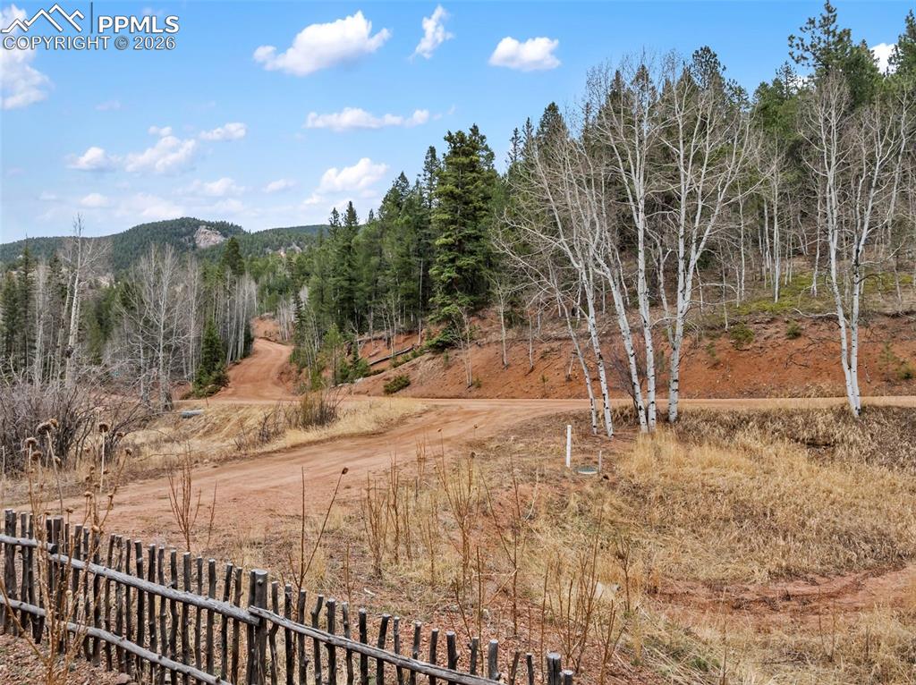 325 Willow Road Divide, CO 80814 - Photo 45 of 49
